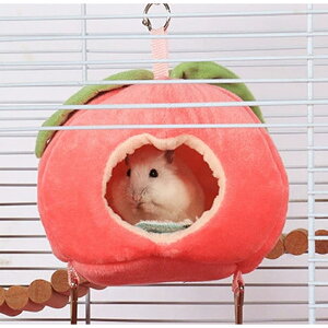 nX^[  nEX D] xbh nbN nX^[nEX ~  g ΍ ObY  t[c  LN} P[W P[W pi ybg