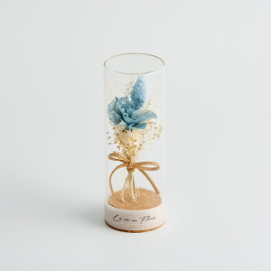 ソラフラワー ガラスボトル 好評 フラワー 花 はな コルクブーケ ドームフラワー ディスプレイ ブーケ 飾り 置き物 置物 母の日 ナチュラル ギフト 贈り物 ギフト かわいい 可愛い 小さめ お