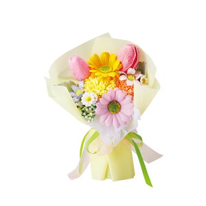 \[vt[ u[P |bg 񂰃obOt D] ԑ \[vt[u[P  t[ t[Mtg \[v  Mtg 蕨 pbP[W NA 킢  u[PŜ