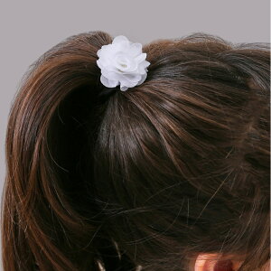 RORA wAS D] S [ ZVA wAANZT[  LbY q qǂ ǂ ̎q q    킢 IV tH[} i JWA   