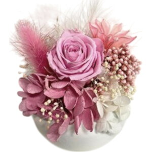 uU[ht- D] t[Mtg t[AWg   킢  j Vzj  rO ʏ gC t[ zj ސE ސEj CeA