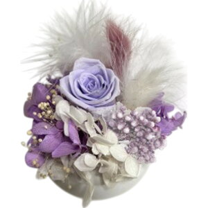 uU[ht- D] t[Mtg t[AWg   킢  j Vzj  rO ʏ gC t[ zj ސE ސEj CeA