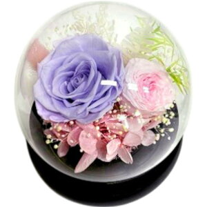 uU[ht- D] KX t[Mtg t[AWg KXh[   킢  t[ j Vzj  rO zj CeA ސE 