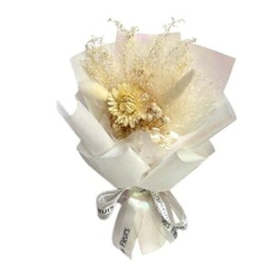 uU[ht- D] t[Mtg hCt[ ԑ   t[AWg t[ 킢  j Vzj  rO zj CeA ސE 