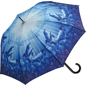 WvP fB[X D] JP P 58.5cm ^b`P ^b`J fB[XP  JT P l  wlP  IV 킢  ʋ ʊw Љl w J̓ ~