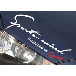  XebJ[  D] 9.5×25cm MTCY Ԃɓ\XebJ[ JbeBOV[g O J[ANZT[ ANZT[ N} TCh {lbg A V[ fJ[ ԃANZT