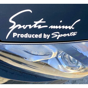 �� �X�e�b�J�[ ������� �D�] ��9.5×25cm M�T�C�Y �Ԃɓ\��X�e�b�J�[ �J�b�e�B���O�V�[�g �O�� �J�[�A�N�Z�T���[ �A�N�Z�T���[ �N���} �T�C�h �{���l�b�g ���A �V�[�� �f�J�[�� �ԃA�N�Z�T��