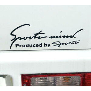  XebJ[  D] 9.5×25cm MTCY Ԃɓ\XebJ[ JbeBOV[g O J[ANZT[ ANZT[ N} TCh {lbg A V[ fJ[ ԃANZT