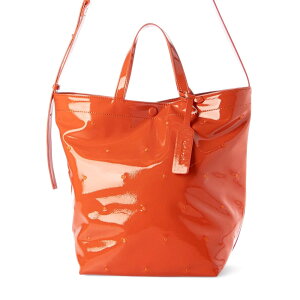 JVJV cachecache obO 10-00-03200 D] g[gobN g[gobO V_[obO ΂߂obO Gi2wayg[g fB[X A4 ʋ ʊw | 傫 ꂢ  