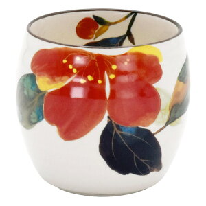 ۂ  D] { Ԃ̂ ̂  Jbv H  ̂ aH Rbv M dqWok t[Jbv  IV ی^ ZĂ Lb`G a j 