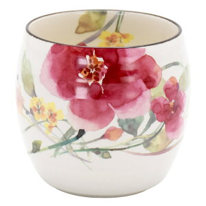 ۂ  D] { Ԃ̂ ̂  Jbv H  ̂ aH Rbv M dqWok t[Jbv  IV ی^ ZĂ Lb`G a j 