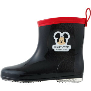 XP[^[ Cu[c LbY D] C Skater Ȃ  CV[Y q JC J qǂ ǂ Ȃ肫 LN^[ObY ct ۈ牀  ̎q j̎q ʊw ʉ 