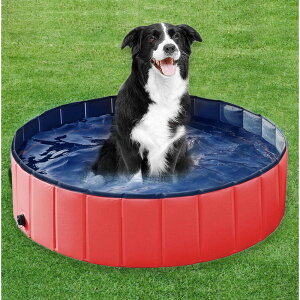 �y�b�g �� �������� �D�] �L �q�� �v�[�� �܂��� �܂肽���� �����^�� �� ���a120cm ����30cm VeroMan ���F���}�� petpool01 �o�X�O�b�Y ��t�� ���V�� �� ���������� ��C ����Ȃ� �u�����h