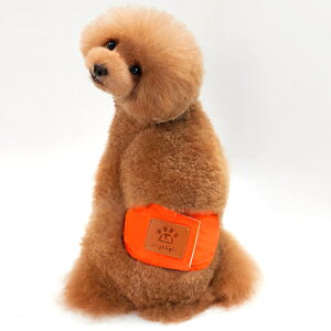 IX  ނ D] }i[xg ^ }i[oh }i[pc ʋC bV I[V[Y t  H ~ 킢  L ybg |Pbg ^O  S }[LOh~ 