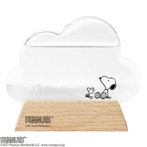 Xg[OX G D] Xk[s[ ObY LN^[ bN} l  NEh _ u u  ؐ Ȋw TCGX Vzj Mtg v[g peanuts CeA V