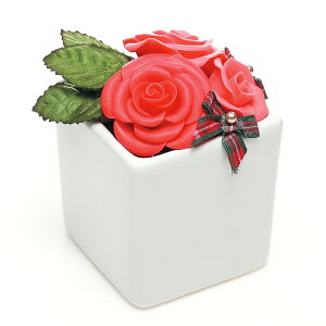 \[vt[Mtg D] Mtg \[vt[ Ό̌   o KN  AWg g[G[ TOEI p[v bh ~bNX Ԃv[g a sAm\ LO