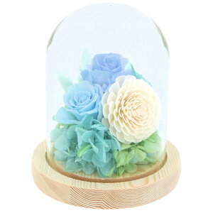 y12܂Ŏt  vU[uht[ KXh[ D] { \C AWg    h[^Cv h[ vU   킢 dp ~ i