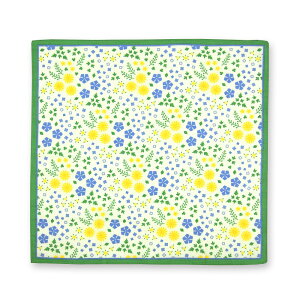 C~ ٓ D] ӂ낵 C~  `NX nJ` 唻 ٓ ~j  50cm { a a 100% ̓ Mtg v[g ݂̏C~ G