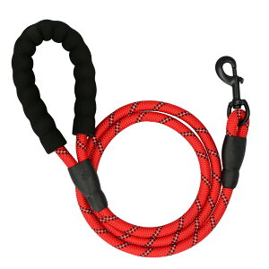 [h  D] xbg ^ hbN[h p[h  ^ ^    _炩 y  ϋv tbN  Ck U  킢