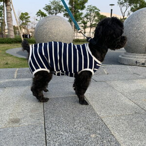 術後服 犬 好評 背中 ボタン 猫 伸縮性 つなぎ ロンパース カバーオール 犬服 猫服 薄手 ストライプ ペットウェア 傷舐め防止 手術痕保護 介護 乳離れ いぬ イヌ ねこ ネコ