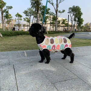 術後服 犬 好評 背中 ボタン 猫 伸縮性 つなぎ ロンパース カバーオール 犬服 猫服 薄手 ストライプ ペットウェア 傷舐め防止 手術痕保護 介護 乳離れ いぬ イヌ ねこ ネコ