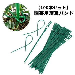 支柱 100本」の人気商品一覧 | 安い商品を通販サイトから探す - 価格.com