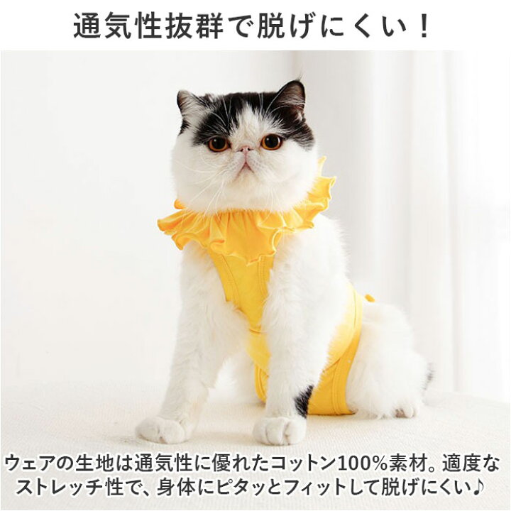 楽天市場】猫 術後服 舐め防止 通販 術後着 術後ウェア 手術後 ネコ 