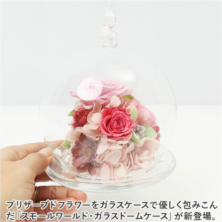 楽天市場】プリザーブドフラワー ガラスドーム 通販 フラワー  