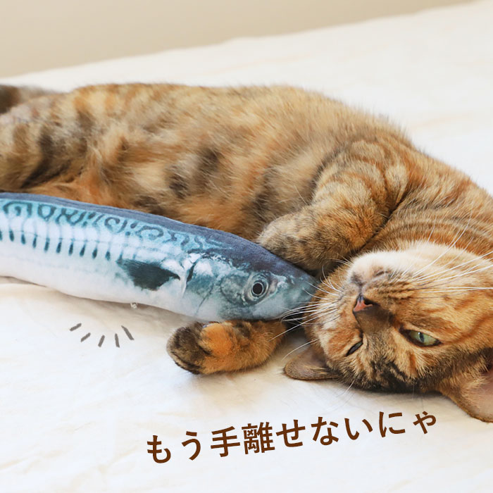 楽天市場】猫 おもちゃ 魚 通販 一人遊び ネコ ねこ ぬいぐるみ 抱き枕