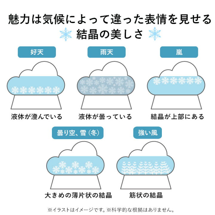 楽天市場 ストームグラス クラウド 通販 ガラス 雑貨 気象計 天気 おしゃれ サイエンス 科学 結晶 ディスプレイ小物 Fun Science 333 274 オブジェ 置き物 インテリア雑貨 インテリア小物 置物 Backyard Family ママタウン