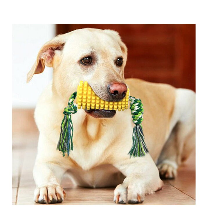 犬 おもちゃ 玩具 ペット ストレス解消 歯磨き 噛む デンタルケア 大人も着やすいシンプルファッション