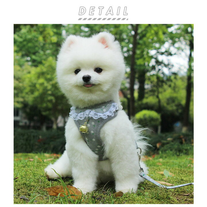犬 リード ハーネス セット 通販 ハーネスリード 小型犬 可愛い 胴輪 犬用 中型犬 大型犬 ペット用品 いぬ おしゃれ 散歩 イヌ 丈夫 シンプル かわいい お散歩 : BACKYARD FAMILY ママタウン 犬 リード ハーネス セット 通販 ハーネスリード 小型犬 可愛い 胴輪 犬用 中型犬 大型犬 ペット用品 いぬ おしゃれ 散歩 イヌ 丈夫 シンプル かわいい お散歩 : BACKYARD FAMILY ママタウン