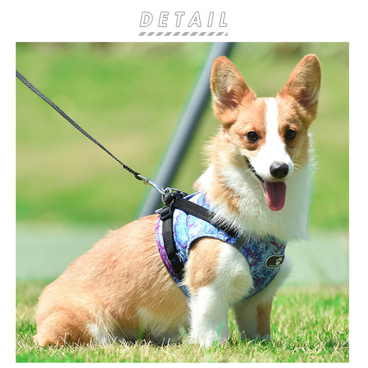 大好き ブラック Xsサイズ 犬 リード ハーネス セット 通販 ハーネスリード 小型犬 可愛い 胴輪 犬用 猫用 中型犬 大型犬 ペット用品 いぬ Paroissesaintmaximin Fr