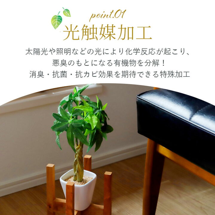 楽天市場】光触媒 フェイクグリーン 通販 壁掛け イミテーショングリーン おしゃれ 壁 インテリアプランツ 消臭 抗菌 グリーンブッシュ 造花 雑貨 人工樹木 ポット シュガーバイン フィットニア アロカシア カメリアリーフ ジャロファ パキラ : BACKYARD FAMILY ママタウン 楽天市場】光触媒 フェイクグリーン 通販 壁掛け イミテーショングリーン おしゃれ 壁 インテリアプランツ 消臭 抗菌 グリーンブッシュ 造花 雑貨 人工樹木 ポット シュガーバイン フィットニア アロカシア カメリアリーフ ジャロファ パキラ : BACKYARD FAMILY ママタウン