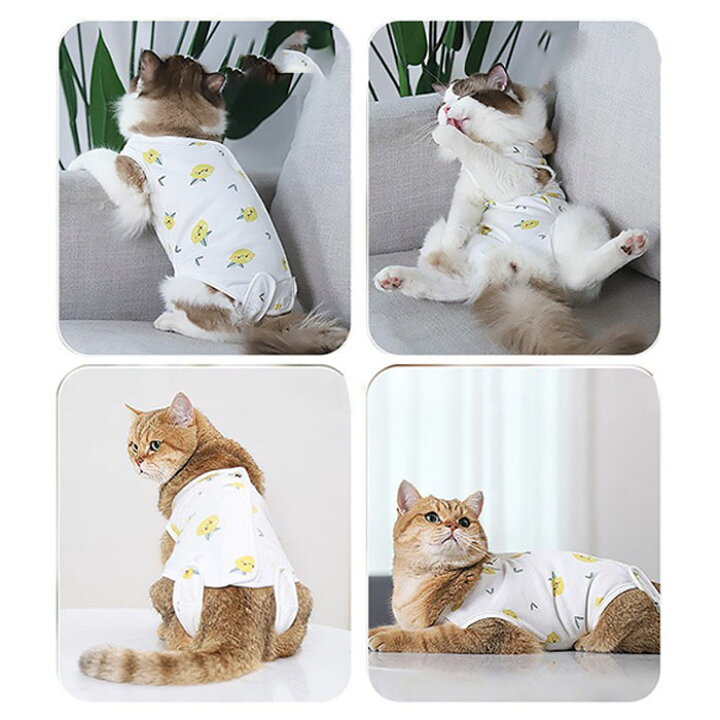 猫 術後服 好評 傷舐め防止 服 ねこ 手術後 エリザベスカラー の代用 洋服 ウェア 術後ウェア 皮膚保護 S M L サイズ つなぎ ロンパース かわいい 猫用 ネコ 犬用 いぬ ペット グッズ ペット用品 国内送料無料