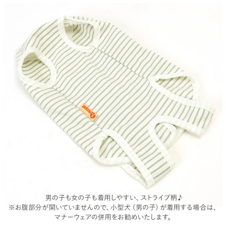 楽天市場】猫 術後服 通販 服 ねこ 傷舐め防止 手術後 ストライプ ロンパース つなぎ カバーオール 洋服 ウェア 術後ウェア 薄手 皮膚保護 柔らかい S M L XL かわいい マジックテープ 猫用 ネコ 犬用 いぬ 犬 ペット グッズ ペット用品 介護用品 : 楽天市場】猫 術後服 通販 服 ねこ 傷舐め防止 手術後 ストライプ ロンパース つなぎ カバーオール 洋服 ウェア 術後ウェア 薄手 皮膚保護 柔らかい S M L XL かわいい マジックテープ 猫用 ネコ 犬用 いぬ 犬 ペット グッズ ペット用品 介護用品 :