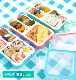 弁当箱 フードマン ミニ FOODMAN MINI 薄型 お弁当箱 薄型弁当箱 ランチボックス 通販 1段 400ml スリム 女子 男子 大人 小学生 通勤 食洗機対応 電子レンジok シンプル お弁当グッズ 16458 7200682 4571347