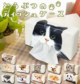 楽天市場 猫 口からティッシュの通販
