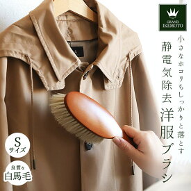 グランドイケモト 洋服ブラシ 通販 静電気 馬毛 小さめ sサイズ ほこり取り プレゼント 制服 スーツ 木製 天然毛 服ブラシ 静電気除去 GRAND IKEMOTO 池本刷子 日本製 IKC3222