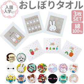 おしぼりタオル 保育園 通販 おしぼり 子供 3枚セット 手拭きタオル お手拭き おてふき キャラクター かわいい ディズニー プリンセス 入園 入学 幼稚園 小学校 男の子 女の子 遠足 運動会 お弁当 ランチ ハンドタオル SKATER スケーター OAC1T