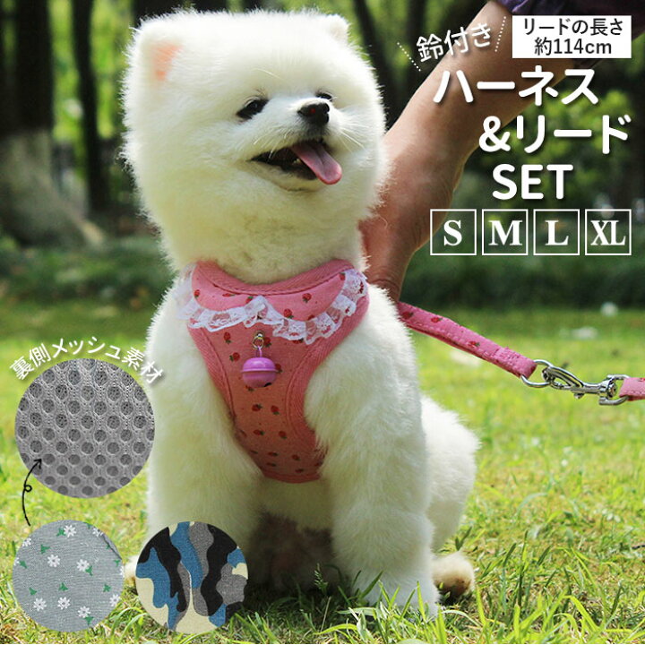 楽天市場 犬 リード ハーネス セット 通販 ハーネスリード 小型犬 可愛い 胴輪 犬用 中型犬 大型犬 ペット用品 いぬ おしゃれ 散歩 イヌ 丈夫 シンプル かわいい お散歩 Backyard Family ママタウン 楽天市場 犬 リード ハーネス セット 通販 ハーネスリード 小型犬 可愛い 胴輪 犬用 中型犬 大型犬 ペット用品 いぬ おしゃれ 散歩 イヌ 丈夫 シンプル かわいい お散歩 Backyard Family ママタウン