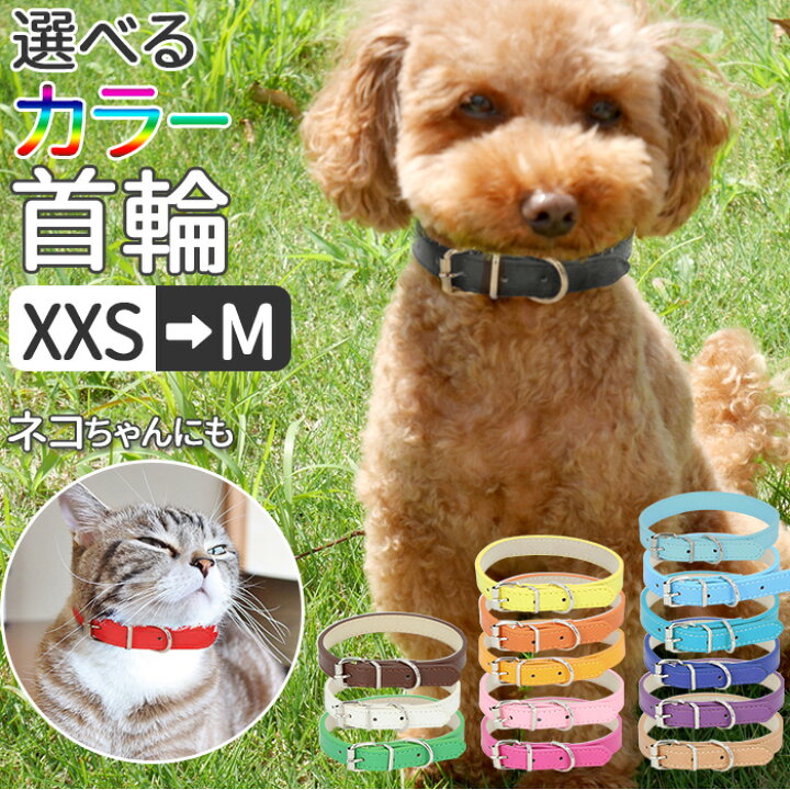 楽天市場 ペット 首輪 おしゃれ 通販 猫 犬 痛くない かわいい 可愛い シンプル ネコ イヌ 小型犬 中型犬 散歩 ペット用品 ペットグッズ Puレザー 合皮 革 Backyard Family ママタウン 楽天市場 ペット 首輪 おしゃれ 通販 猫 犬 痛くない かわいい 可愛い シンプル ネコ イヌ 小型犬 中型犬 散歩 ペット用品 ペットグッズ Puレザー 合皮 革 Backyard Family ママタウン