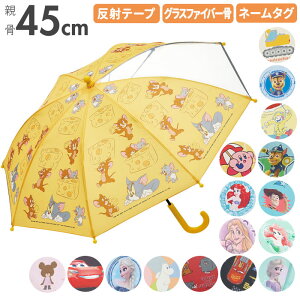 P qp 45cm ʔ j̎q ̎q y v OXt@Co[ P 45Z` t ʉ ʊw 1R}  S ˃e[v ʃt@Xi[ 킢  SKATER XP[^[ UB45 LbYt