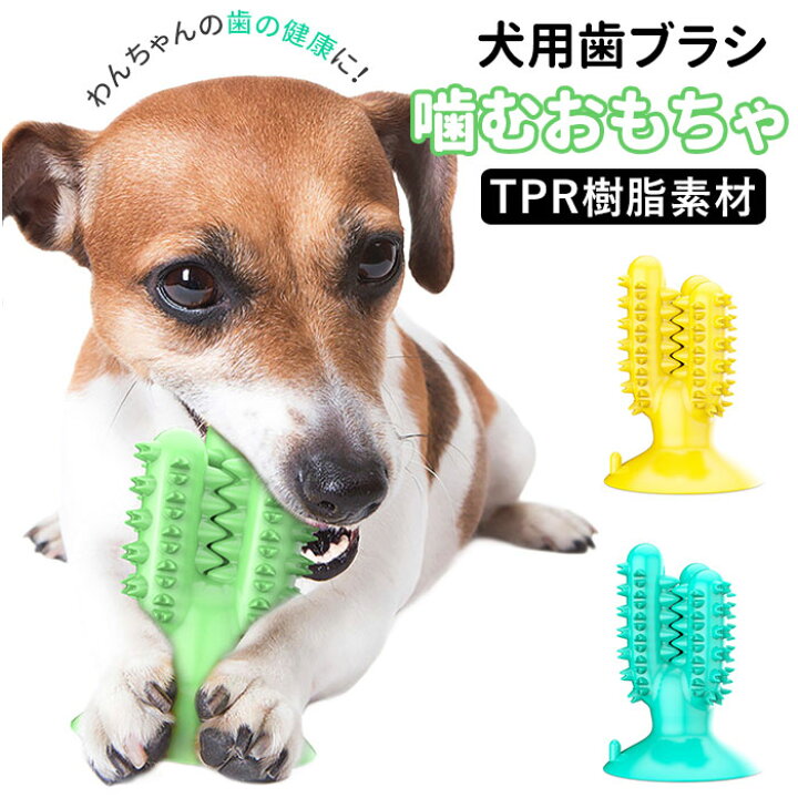 楽天市場 犬 噛む おもちゃ 通販 ペット用品 玩具 オモチャ ストレス解消 歯ブラシ 歯茎マッサージ 小型犬 中型犬 クリーニング 長持ち ペットグッズ かわいい 楽しい イヌ ドッグ Backyard Family ママタウン