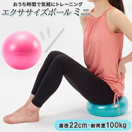 バランスボール 通販 エクササイズボール ミニ 22cm ピラティスボール ヨガボール フィットネス トレーニ…