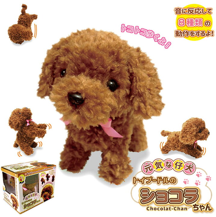 楽天市場 犬 ぬいぐるみ 動く 通販 トイプードル 動くおもちゃ ふわふわ ショコラちゃん 小さい 人形 子犬 かわいい 動物 玩具 アニマル ペット キッズ 子ども 子供 園児 未就園児 女の子 誕生日 ギフト プレゼント 元気な仔犬 トイプードルのショコラちゃん Backyard