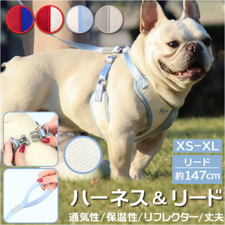 楽天市場 犬 リード ハーネス セット 通販 ハーネスリード 猫 一体型 簡単 着脱 調節可能 引っ張り防止 抜けにくい ソフト デザイン かわいい 小型犬 中型犬 ネコ ねこ いぬ イヌ 咳き込み軽減 散歩 出かけ用 Backyard Family ママタウン