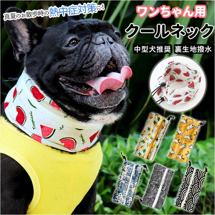 楽天市場】クールネック 犬 通販 夏 保冷剤 クールスヌード 首 