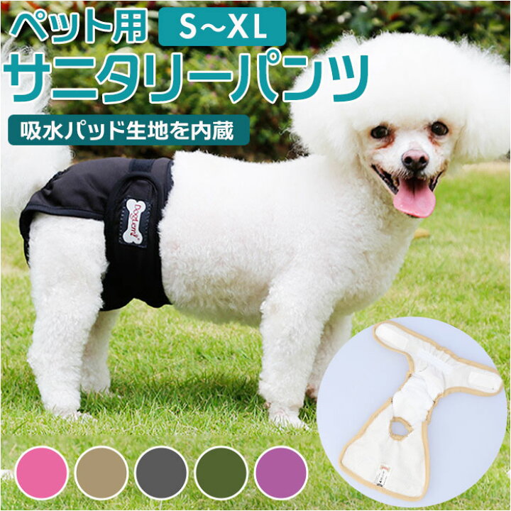 楽天市場】マナーパンツ 犬 通販 女の子 サニタリーパンツ 生理パンツ 
