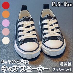 LbY V[Y ʔ Xj[J[ LoXV[Y ₷ q qǂ LbYXj[J[ LoXn qC ̎q j̎q C n 킢 炭  fC[ wN